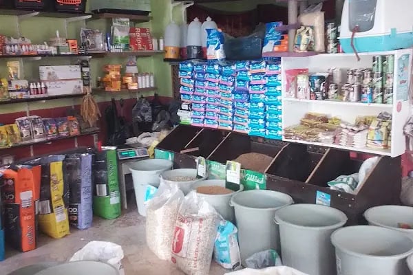 YENİDOĞAN PETSHOP - Resim 7