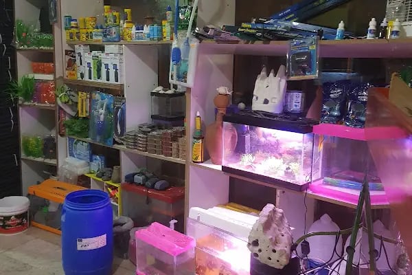 YENİDOĞAN PETSHOP - Resim 10
