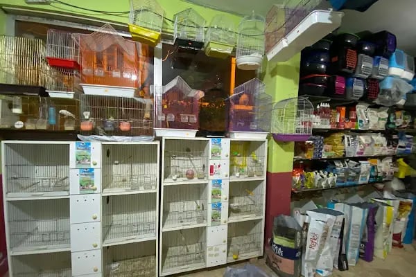 YENİDOĞAN PETSHOP - Resim 3