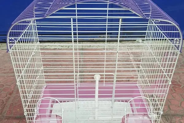 YENİDOĞAN PETSHOP - Resim 2