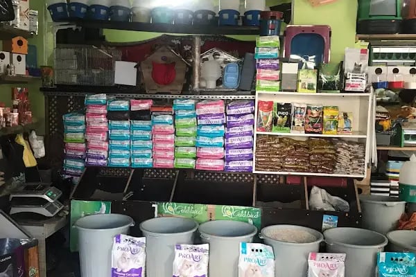 YENİDOĞAN PETSHOP - Resim 19