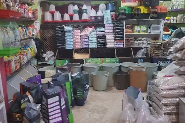 YENİDOĞAN PETSHOP - Resim 13