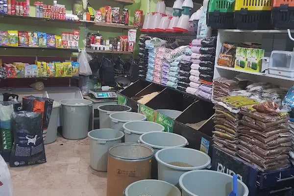 YENİDOĞAN PETSHOP - Resim 11