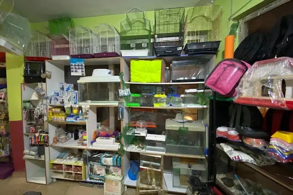 YENİDOĞAN PETSHOP - Resim 5