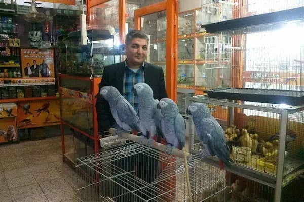 DEMİRCAN PET SHOP - Resim 18
