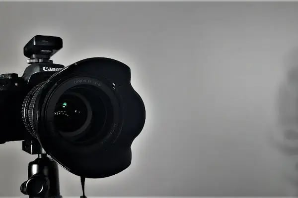 ngfotography - Resim 4