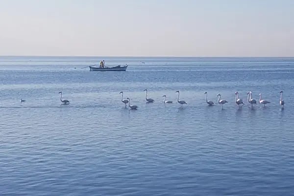 Bostanlı Sahili - Resim 8