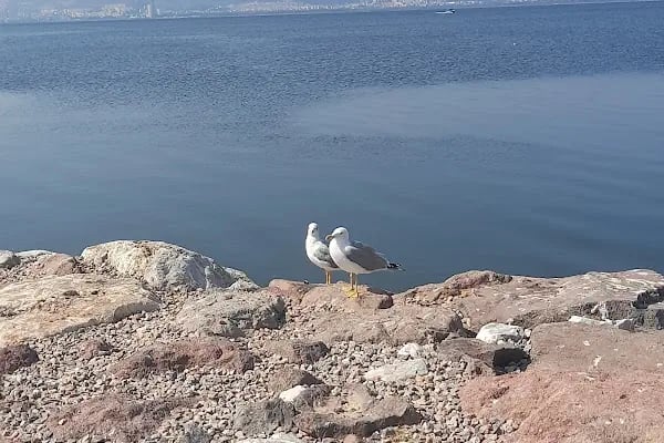 Bostanlı Sahili - Resim 5