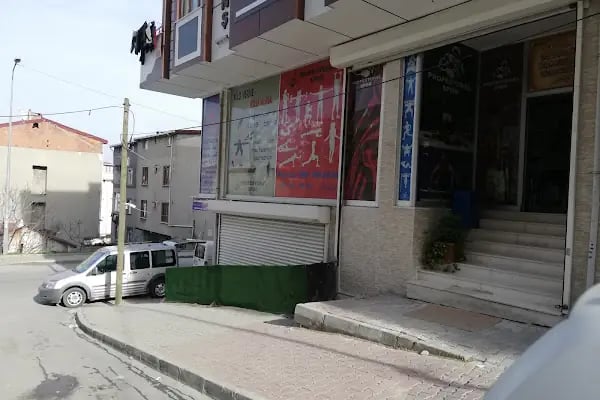 PROFESYONEL SPOR GO SPOR - Resim 13