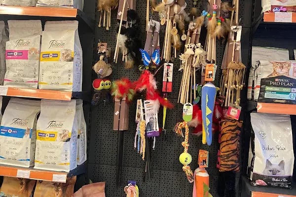 pırıl petshop - Resim 3