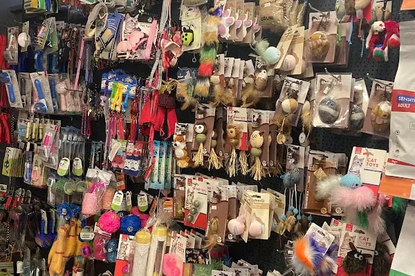 pırıl petshop - Resim 4
