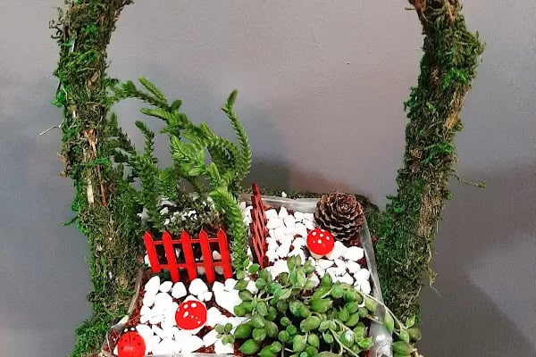 Çiçek Dünyası Susurluk - Resim 20