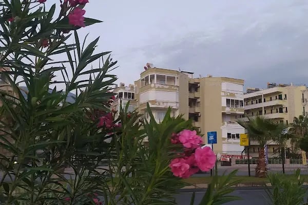 Belgin Sitesi - Resim 3