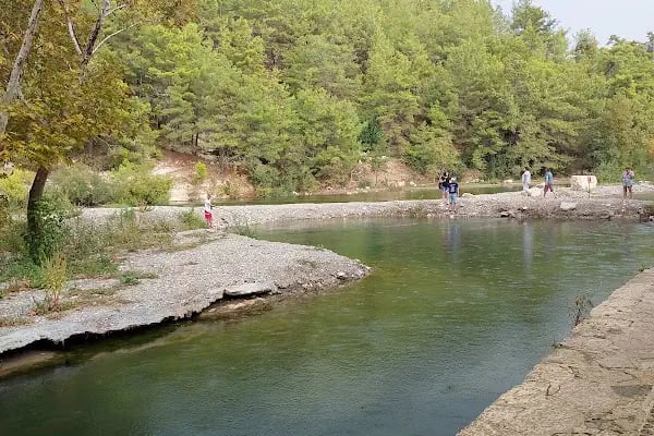 Alara Şevket Demirel İlkögretim Okulu - Resim 3