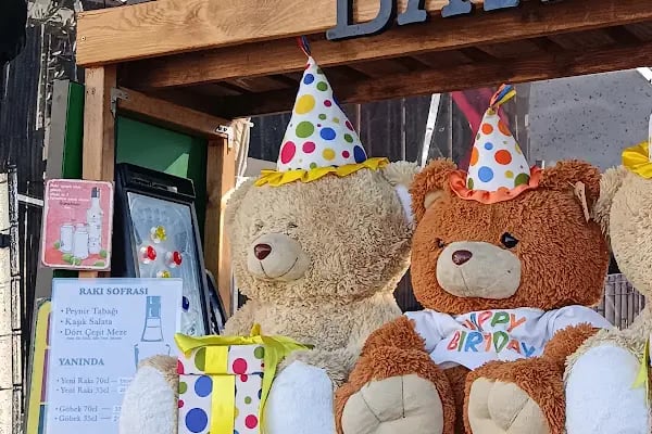 Happy Bear - Resim 7