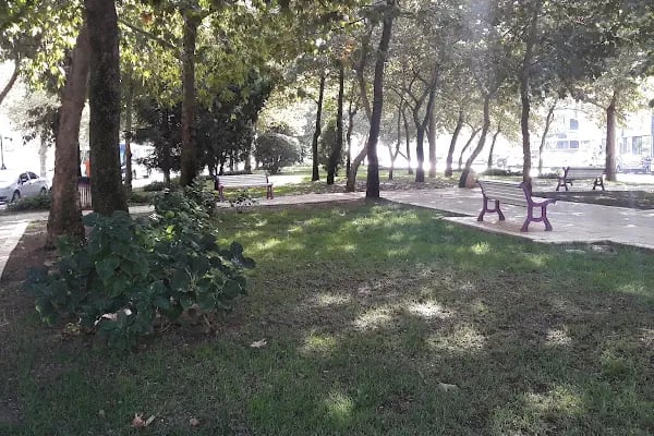 Çorlu Devlet Hastanesi Şehit Münür Alkan Ekbinası - Resim 11