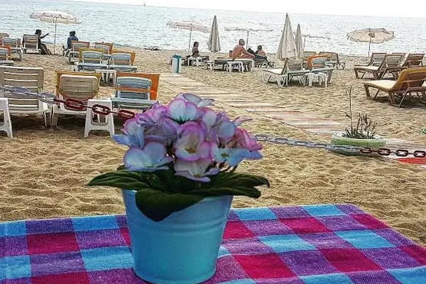 Miss Cleopatra Hotel - Resim 11
