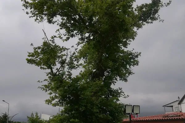 Umurbey Celal Bayar Sağlık Meslek Lisesi - Resim 6