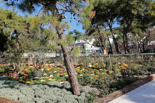 CEBA Play House &amp; Garden - Resim 7