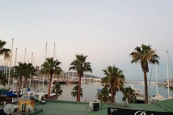 Albatros Hotel - Resim 19