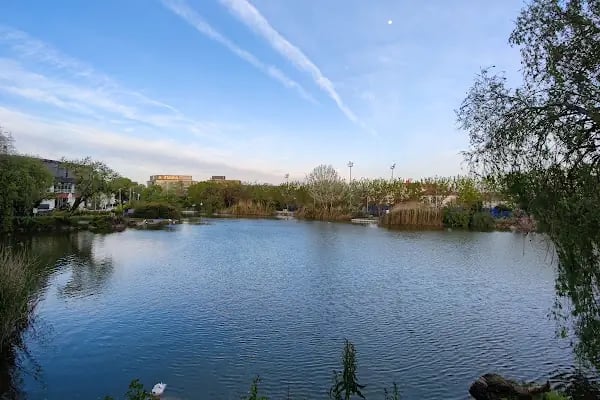 Botanik Park Çocuk Parkı - Resim 2