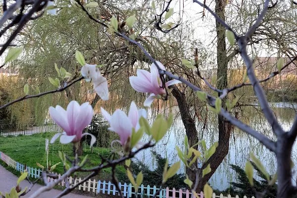 Botanik Park Çocuk Parkı - Resim 13