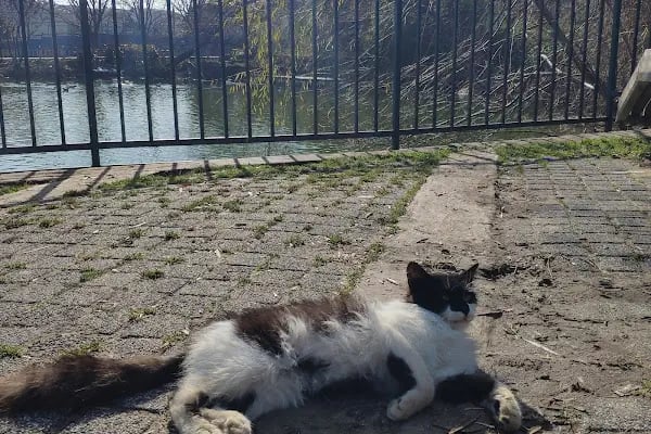 Botanik Park Çocuk Parkı - Resim 20