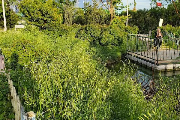 Botanik Park Çocuk Parkı - Resim 19