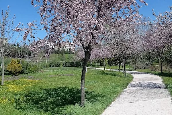 Botanik Park Çocuk Parkı - Resim 8