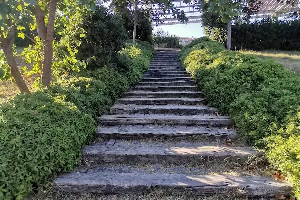 Botanik Park Çocuk Parkı - Resim 12