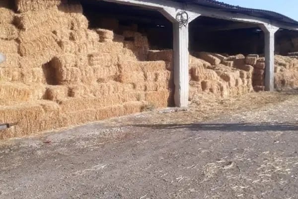 Kayioglu nakliyat insaat bims pancar kuspesi slaj saman - Resim 10