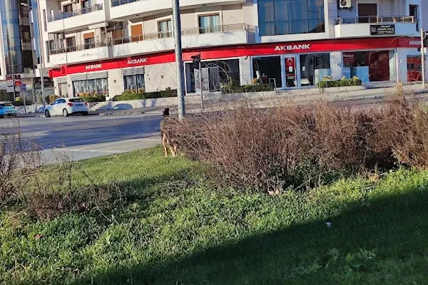 Muğla Atatürk Stadyumu - Resim 20