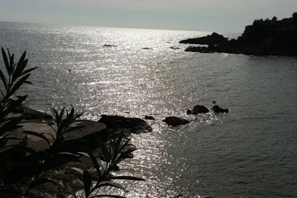 Anamur Marine - Resim 5