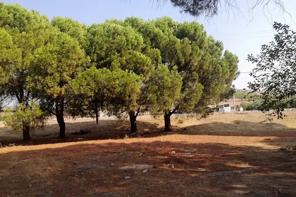 Asklepieion Otoparkı - Resim 8