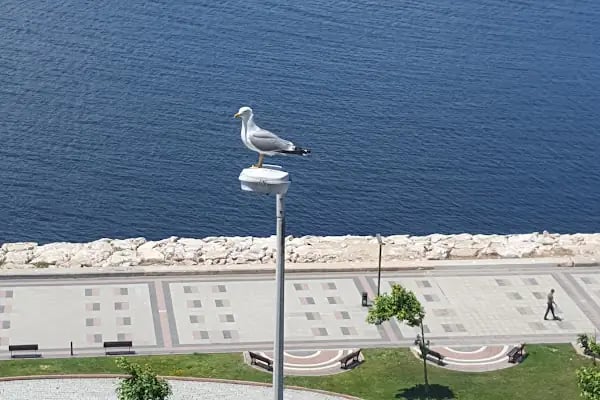 Bandırma Limanı - Resim 17
