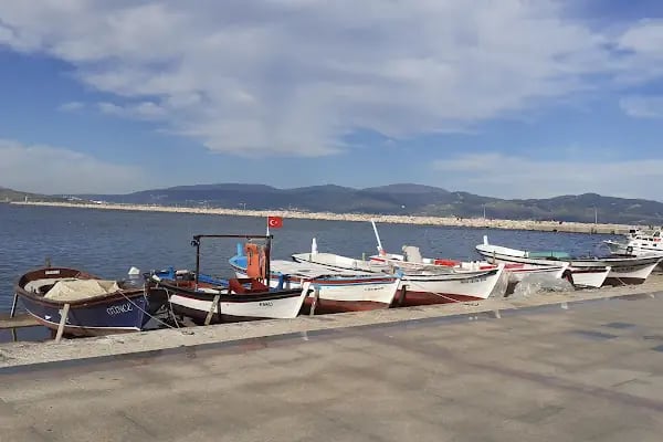 Bandırma Limanı - Resim 19