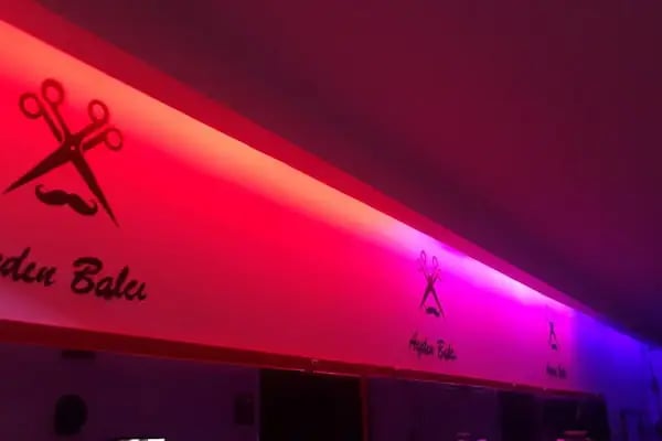 Aydın Balcı Erkek Berberi - Resim 16
