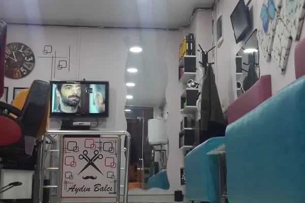 Aydın Balcı Erkek Berberi - Resim 11