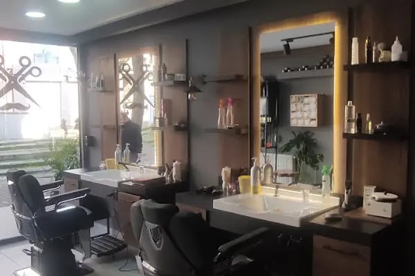 Aydın Balcı Erkek Berberi - Resim 3