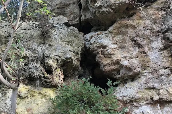 Düzlerçamı (Yukarıkaraman) Mezarlığı - Resim 17