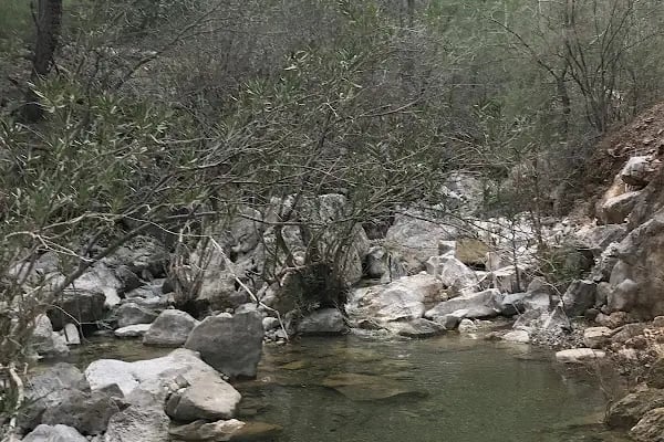 Düzlerçamı (Yukarıkaraman) Mezarlığı - Resim 3