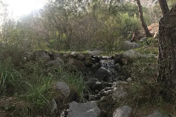 Düzlerçamı (Yukarıkaraman) Mezarlığı - Resim 8
