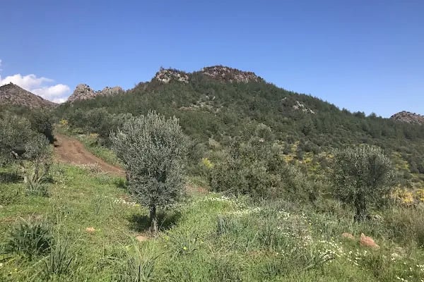 Düzlerçamı (Yukarıkaraman) Mezarlığı - Resim 19