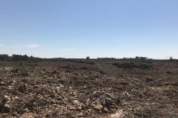 Düzlerçamı (Yukarıkaraman) Mezarlığı - Resim 10