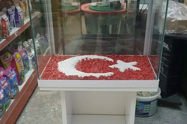 BALIKÇI SUAT PETSHOP AKVARYUM - Resim 2