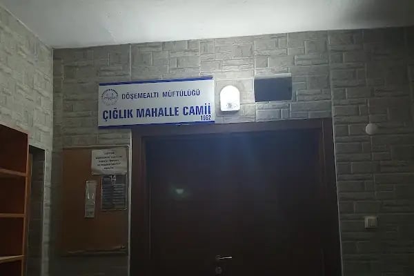 Çığlık Yeni Cami - Resim 6