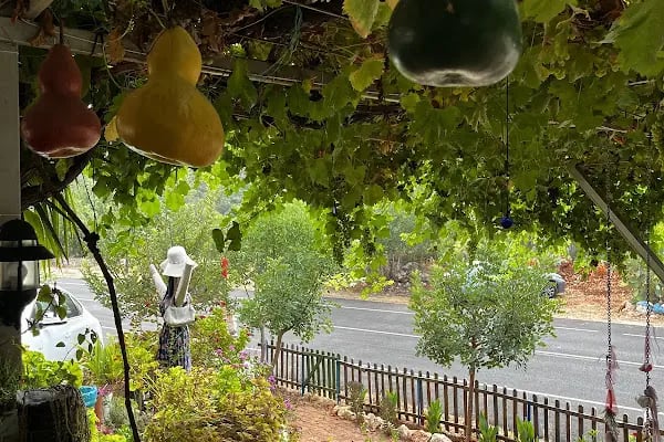 Asmaaltı Köy Kahvaltısı-Ev Pansiyonu-Bungalow - Resim 9