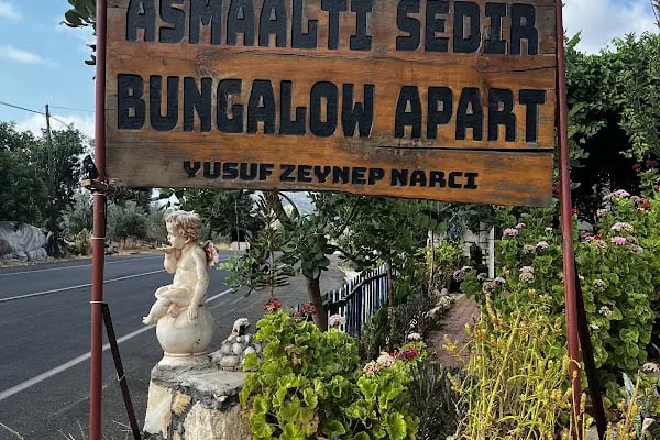 Asmaaltı Köy Kahvaltısı-Ev Pansiyonu-Bungalow - Resim 11