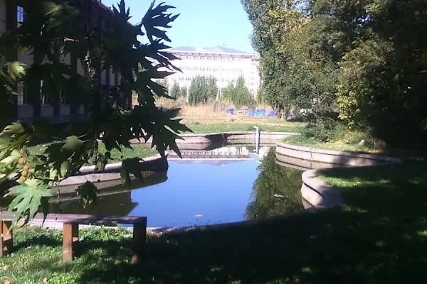Ankara Üniversitesi Ziraat Fakültesi Bitki Koruma Bölümü - Resim 6