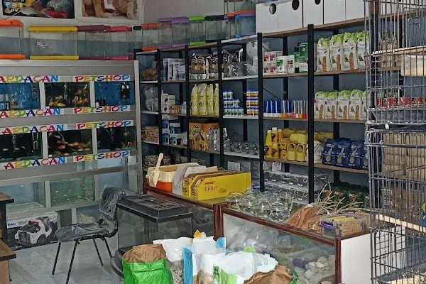 Ardacan Petshop - Resim 10